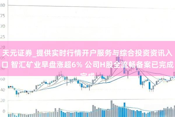 天元证券_提供实时行情开户服务与综合投资资讯入口 智汇矿业早盘涨超6% 公司H股全流畅备案已完成