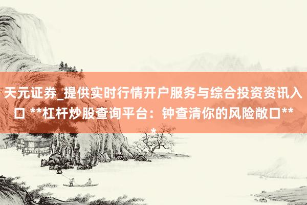 天元证券_提供实时行情开户服务与综合投资资讯入口 **杠杆炒股查询平台：钟查清你的风险敞口**